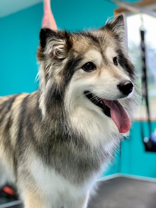 Rural Paws Dog Grooming