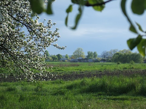 РИМАЧІВСЬКА ЗОШ І-ІІІ СТУПЕНІВ