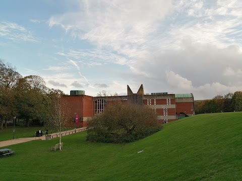 University of Sussex