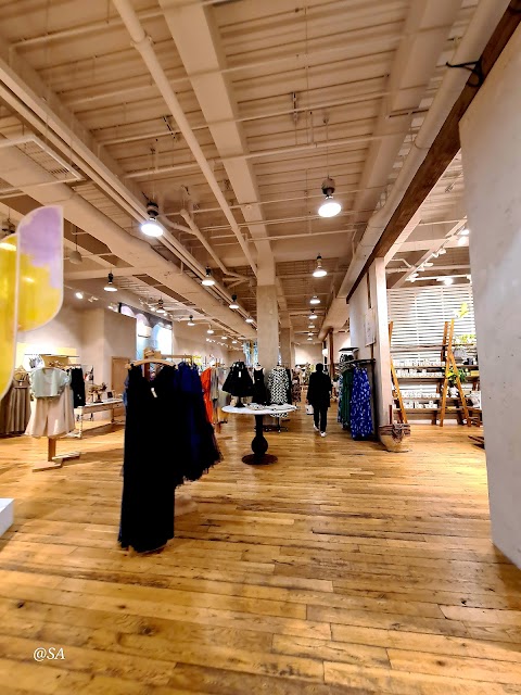 Anthropologie