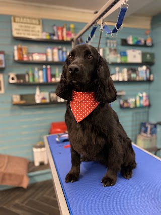 Cooper’s Canines Dog Grooming