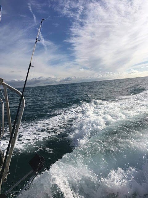 Channel Diving & Rampion Windfarm Trips