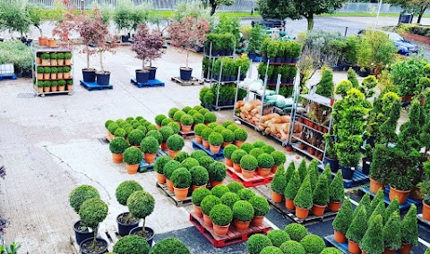 Birmingham Landscape Plants And Flowers Limited