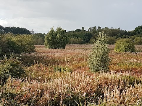 Chorlton Ees Nature Reserve