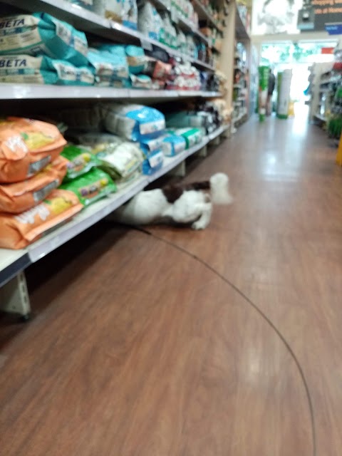 Pets at Home Meanwood