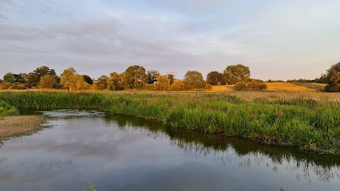 Bowthorpe Marsh