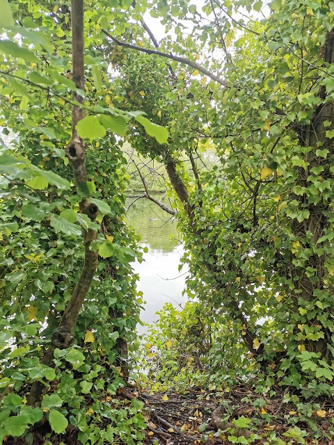 Plantsbrook Local Nature Reserve