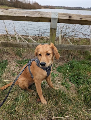 Pitsford Reservoir