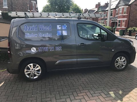 David Wood Window And gutter cleaning