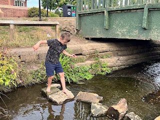 Splash pad