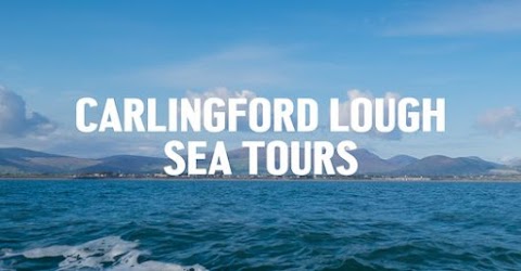Carlingford Lough Sea Tours