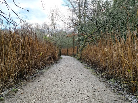 Brotherton Park and Dibbinsdale Local Nature Reserve