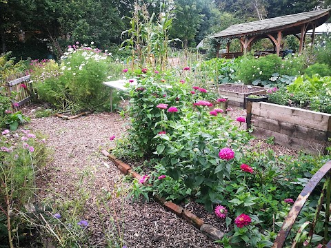 Windmill Hill City Farm