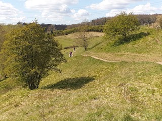 Brockadale Nature Reserve