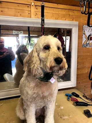 Witwoo Dog Groomers