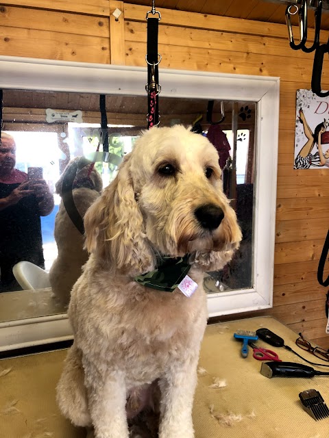 Witwoo Dog Groomers