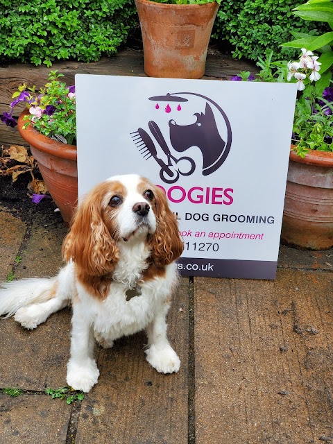 Doogies Dog Grooming