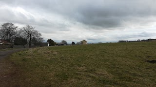 Canine Scanning South West