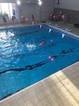 Melton Mowbray Swimming Club