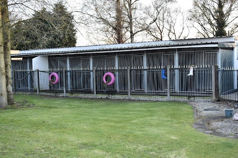 Nine Stones Boarding Kennels