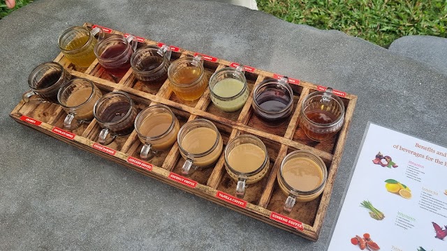 Pemulan Bali Coffee Plantation free tasting