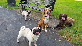 Pawfect Dog Walking & Pet Sitting