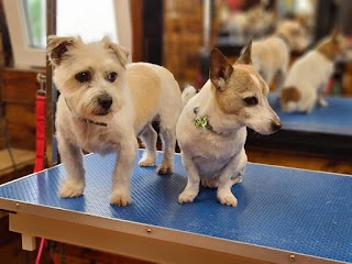 Bone-A-Fido Dog grooming for large and small breeds