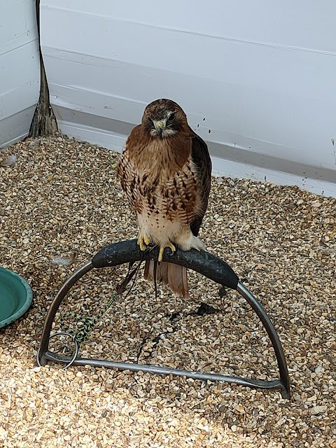 Huxley's Birds of Prey Centre and Gardens