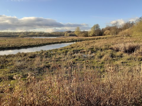 RSPB Baron’s Haugh