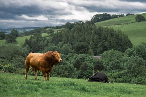 Hesketh Farm Park