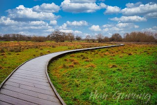 Langley Mead