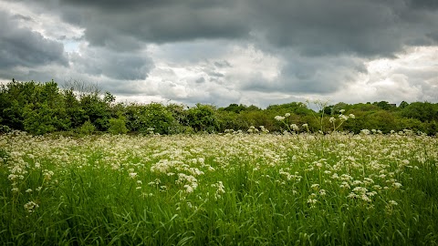 Wrenthorpe Park Play Area