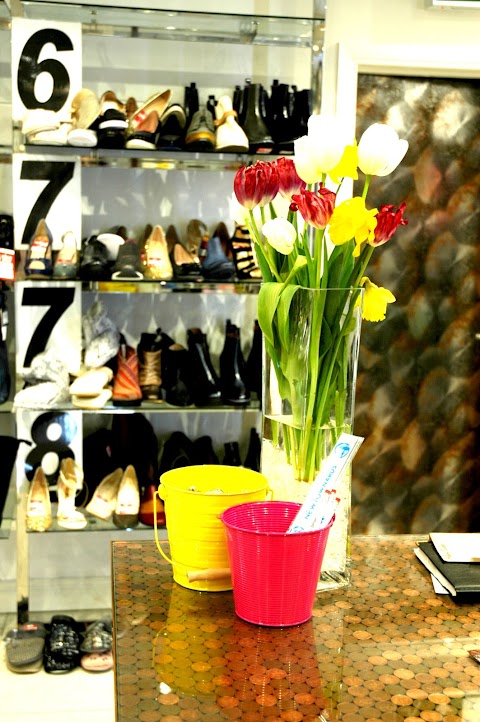 Moda Shoes