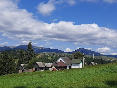 Приватний готель "Квітуча гора"