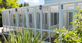 Whitehouse Cattery