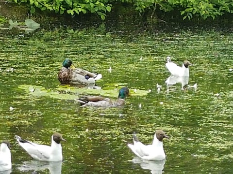 Wilton Park