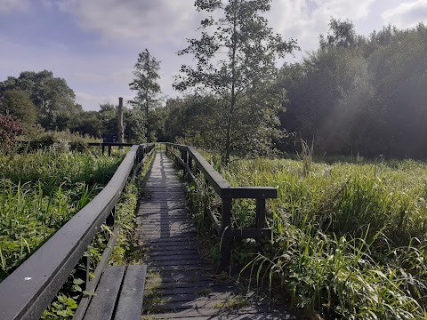 RSPB Fairburn Ings