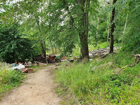 Edinburgh Cabin Camping