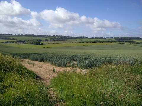 North Wessex Downs AONB