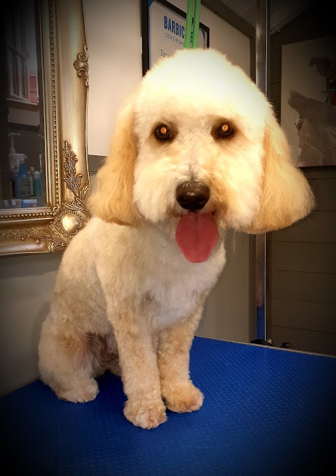 Doggie Style Grooming Studio