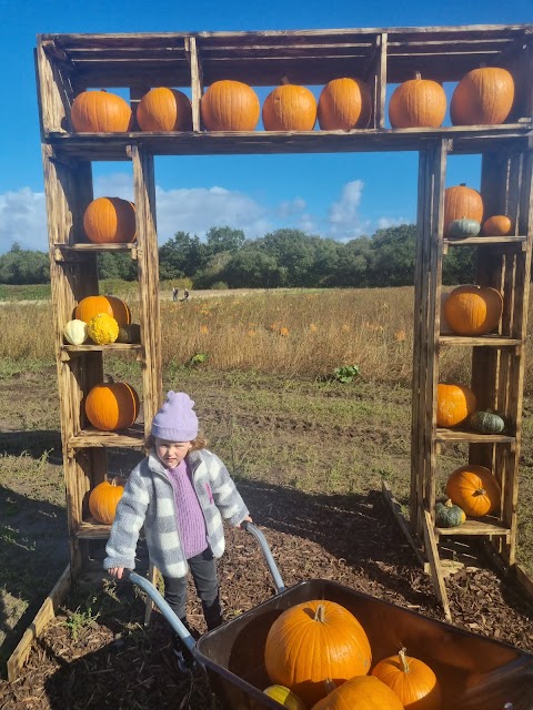 Benty Farm Tearooms