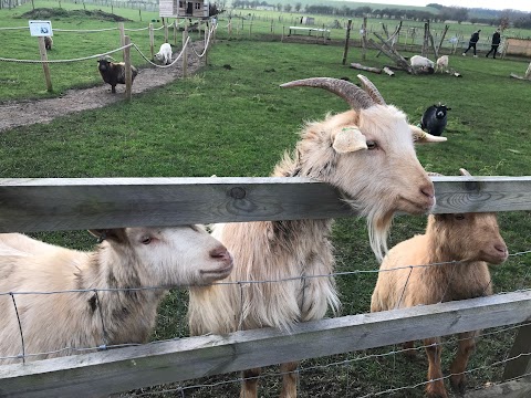 Hogshaw Farm & Wildlife Park