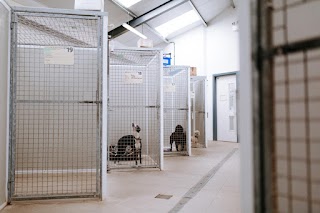 Bishop Burton Kennels and Dog Grooming