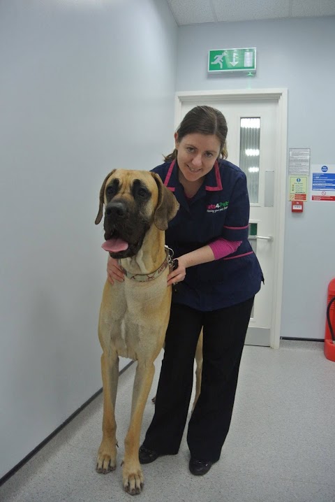 Vets4Pets - Lisburn