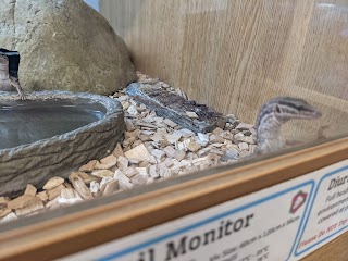 Northampton Reptile Centre