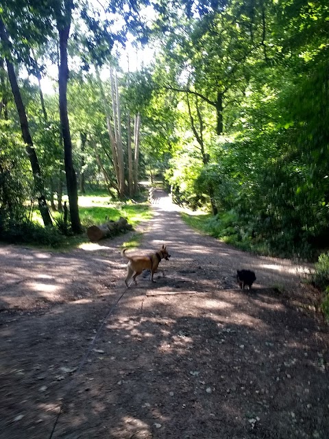 Pamber Forest Nature Reserve