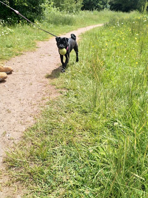 Howardian Local Nature Reserve