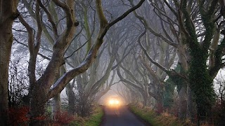 Giants Causeway Tours