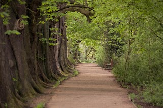 Hinchingbrooke Country Park