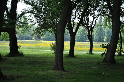 Fog Lane Park